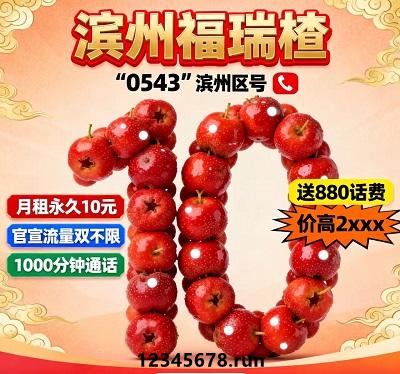 电信滨州福瑞楂卡，10元月租，880元话费+双不限流量，太值了